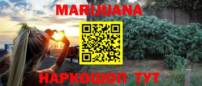 прущие крисы Гай