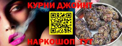 jwh Гатчина