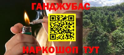 прущие крисы Гай
