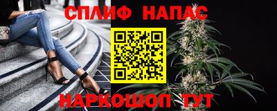 прущие крисы Гай