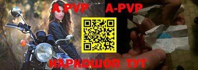 прущие крисы Гай