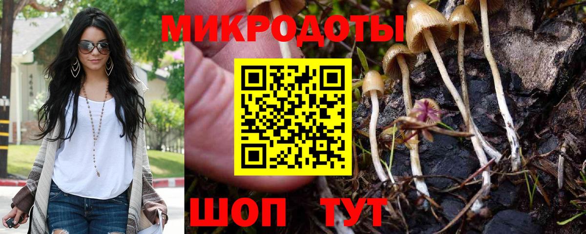 Псилоцибиновые грибы GOLDEN TEACHER Моздок